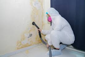 Best Commercial Mold Inspection  in Smith Mills, MA